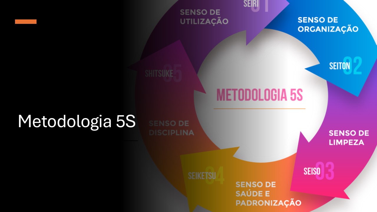 Programa 5S 